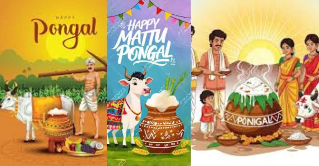Mattu Pongal 2026:मट्टू पोंगल – भारतीय संस्कृति में पशुओं को समर्पित विशेष पर्व
