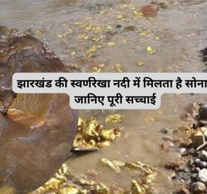 झारखंड की स्वर्णरेखा नदी में मिलता है सोना? जानिए पूरी सच्चाई