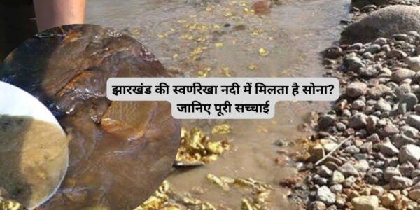 झारखंड की स्वर्णरेखा नदी में मिलता है सोना? जानिए पूरी सच्चाई
