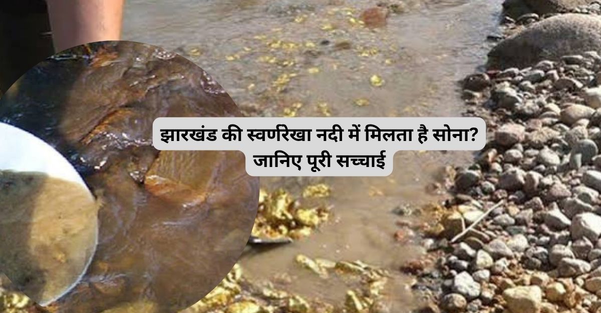 झारखंड की स्वर्णरेखा नदी में मिलता है सोना? जानिए पूरी सच्चाई
